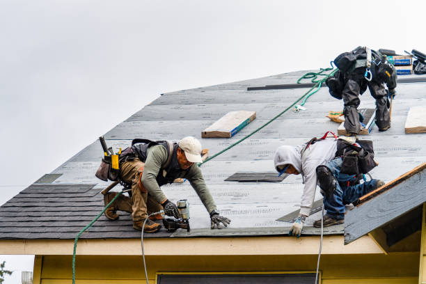 Professional Flat Roof Repair technician working in Laotto, IN